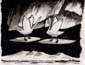 Swans frozen to the sky